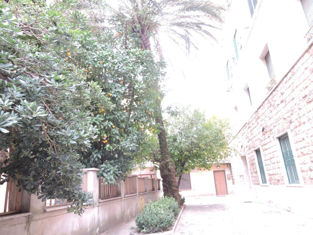 Domus Angelica Appartamento